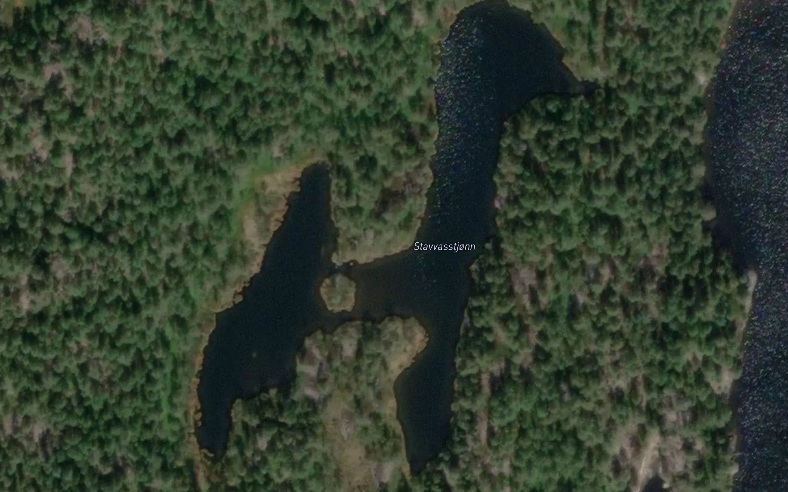 Stavvasstjonn
