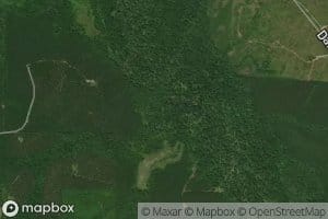 Little Bayou De Loutre