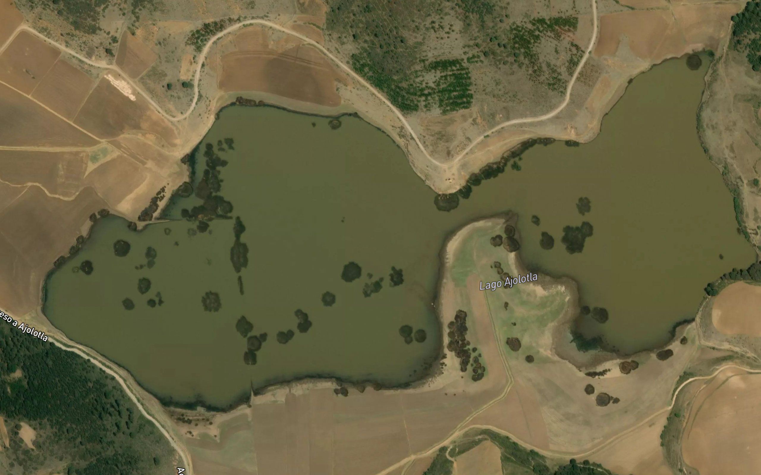 Laguna Ajolotla
