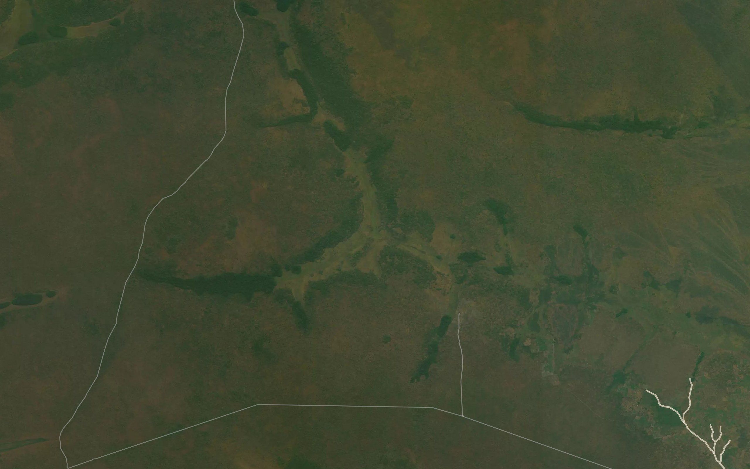 Cagiu