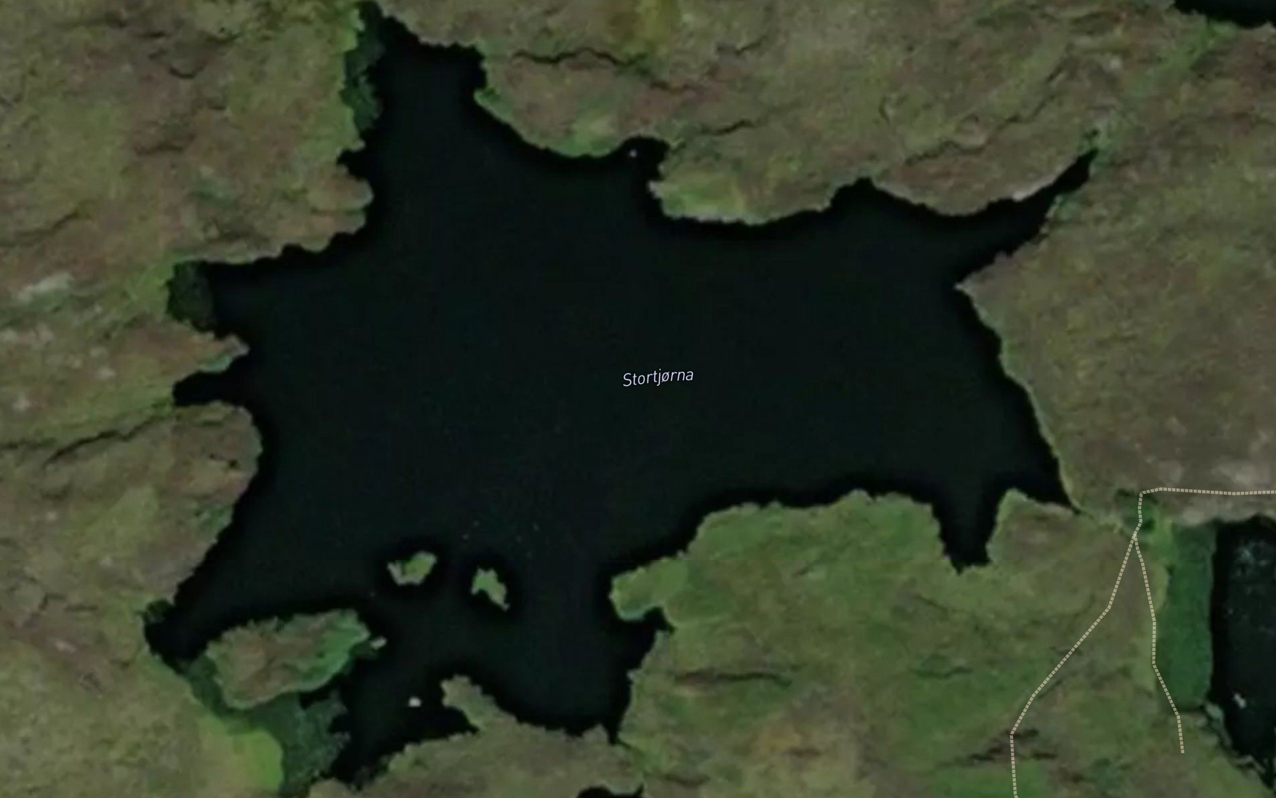 Stortjorna
