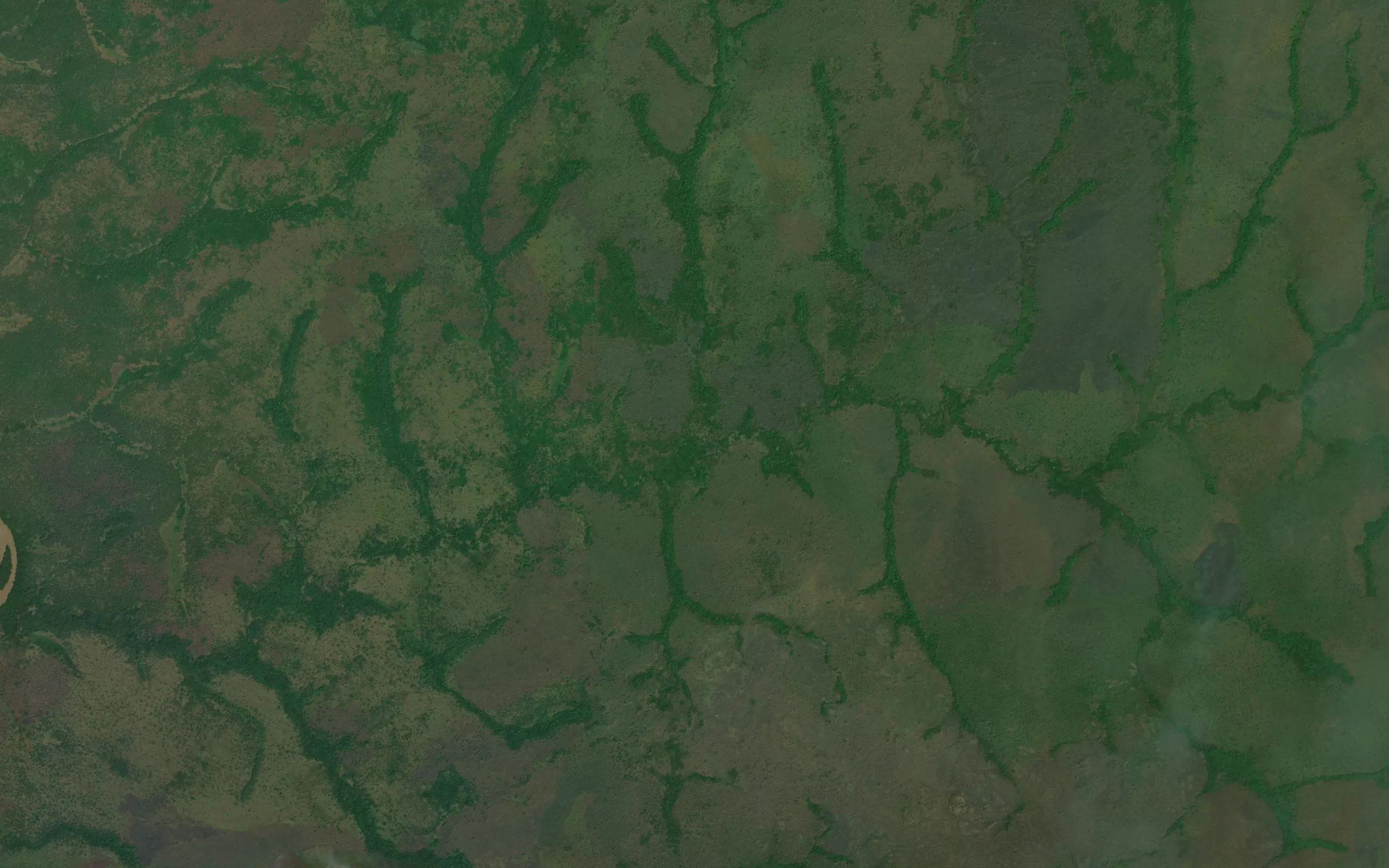 Dibagaza