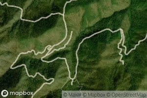 Left Prong Rough Fork