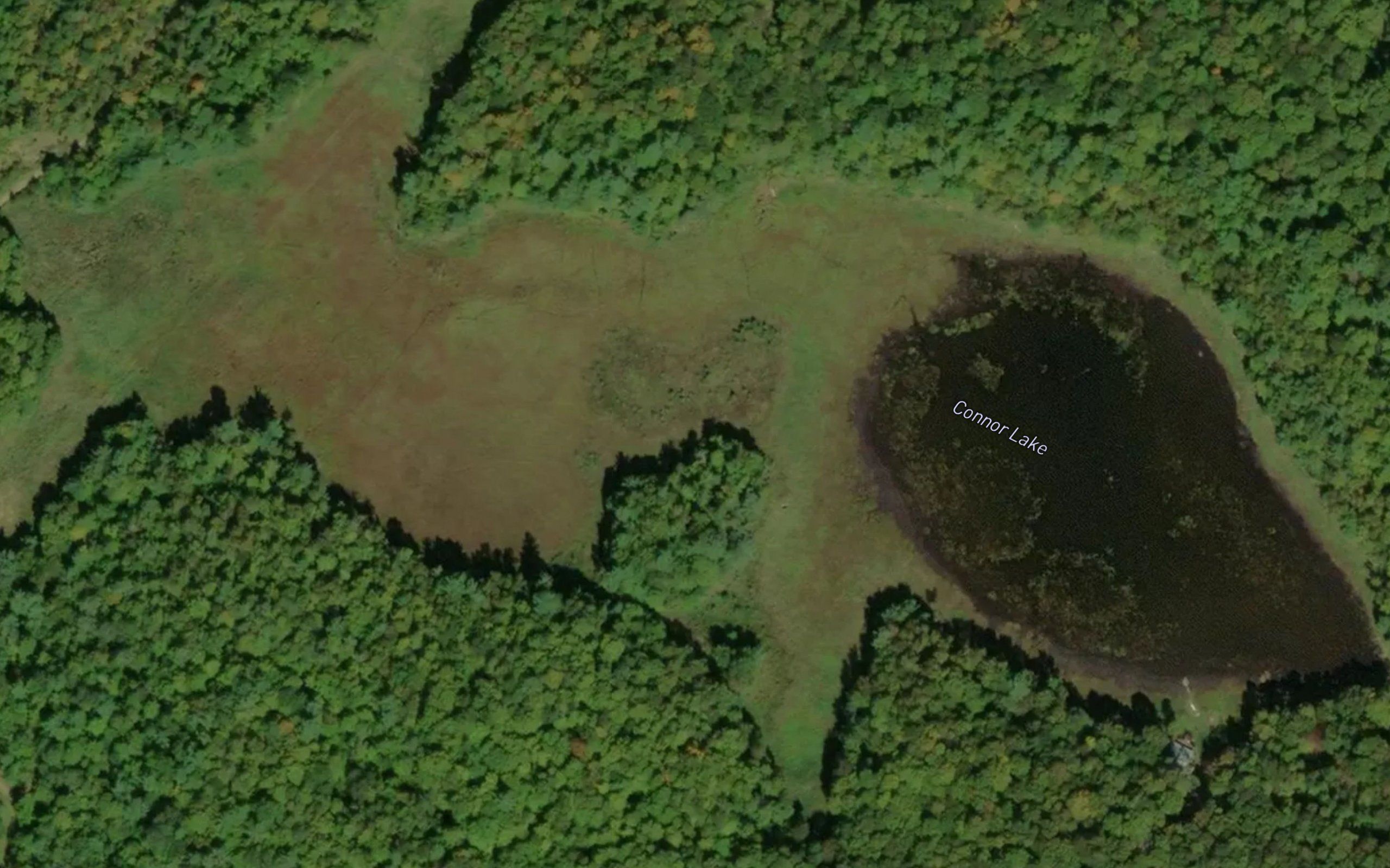 Connor Lake