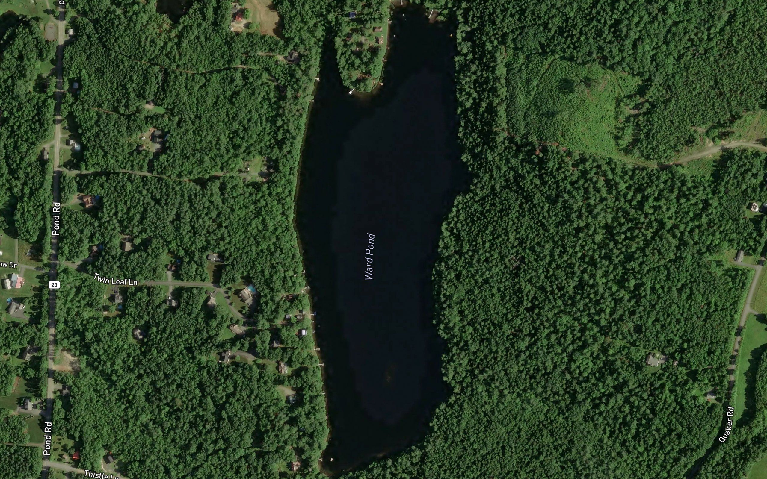 Ward Pond
