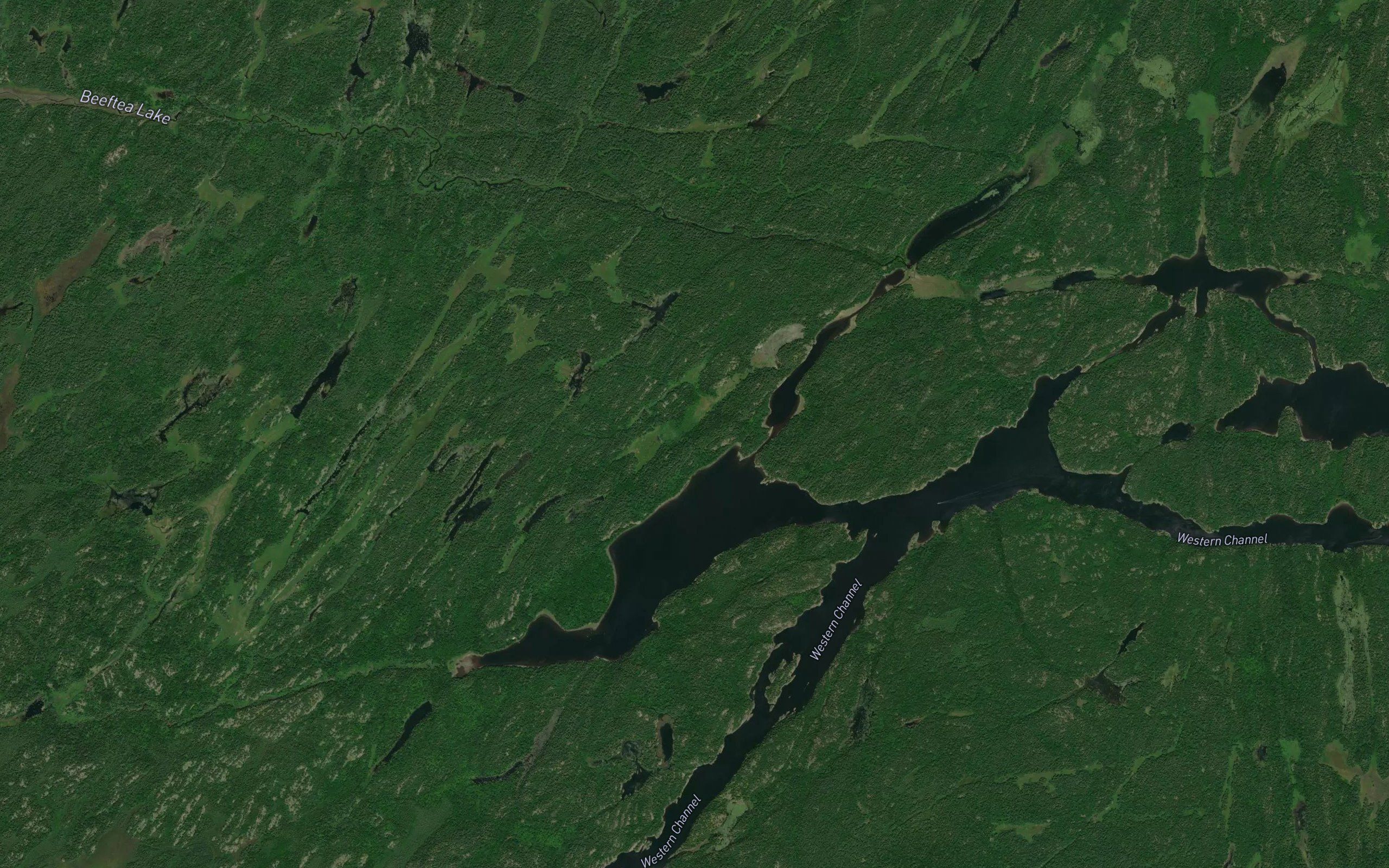 Beeftea Creek