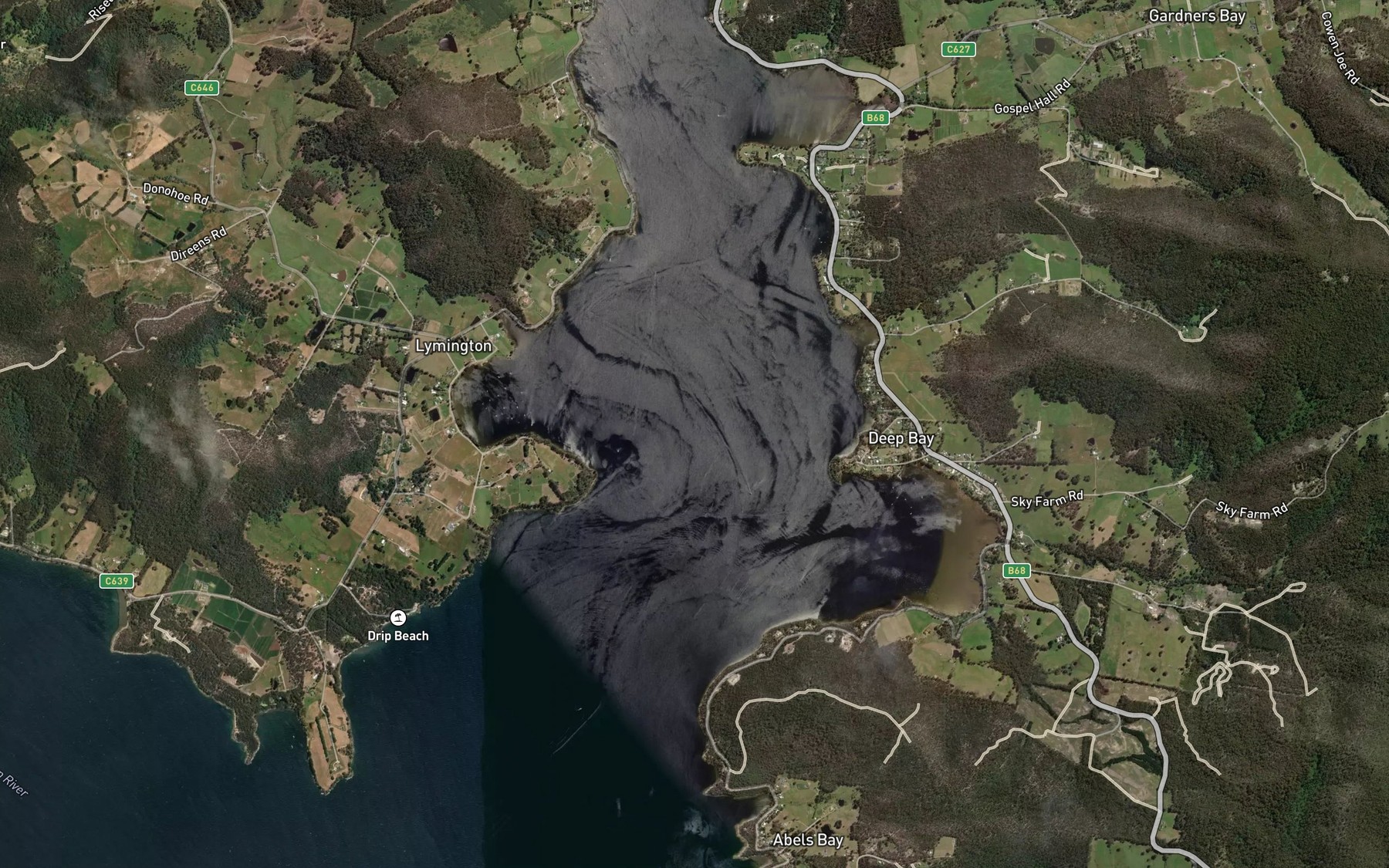 Satellite map of the Port Cygnet