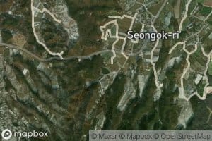 Dokjeongimot
