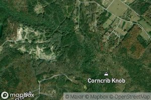 Satellite map of the Mossy Creek