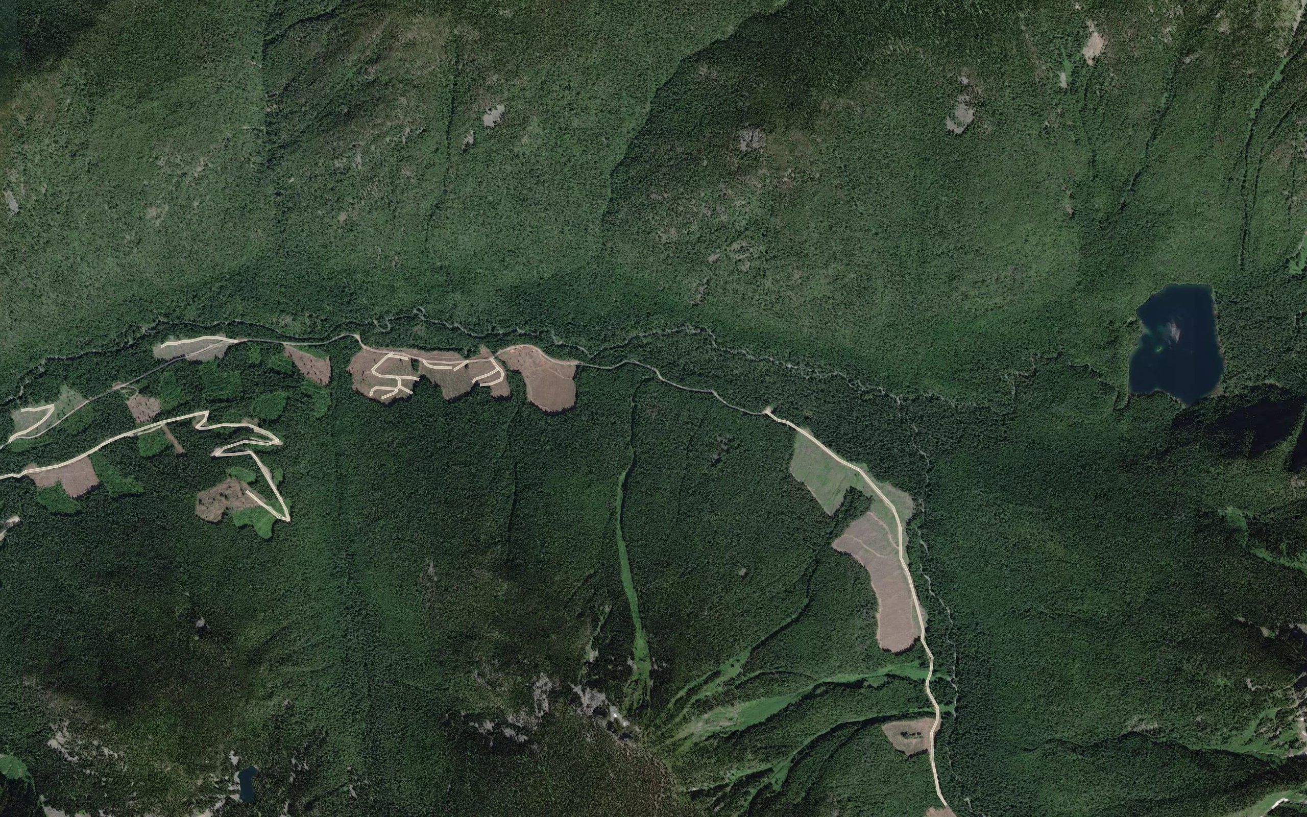 Ptarmigan Creek