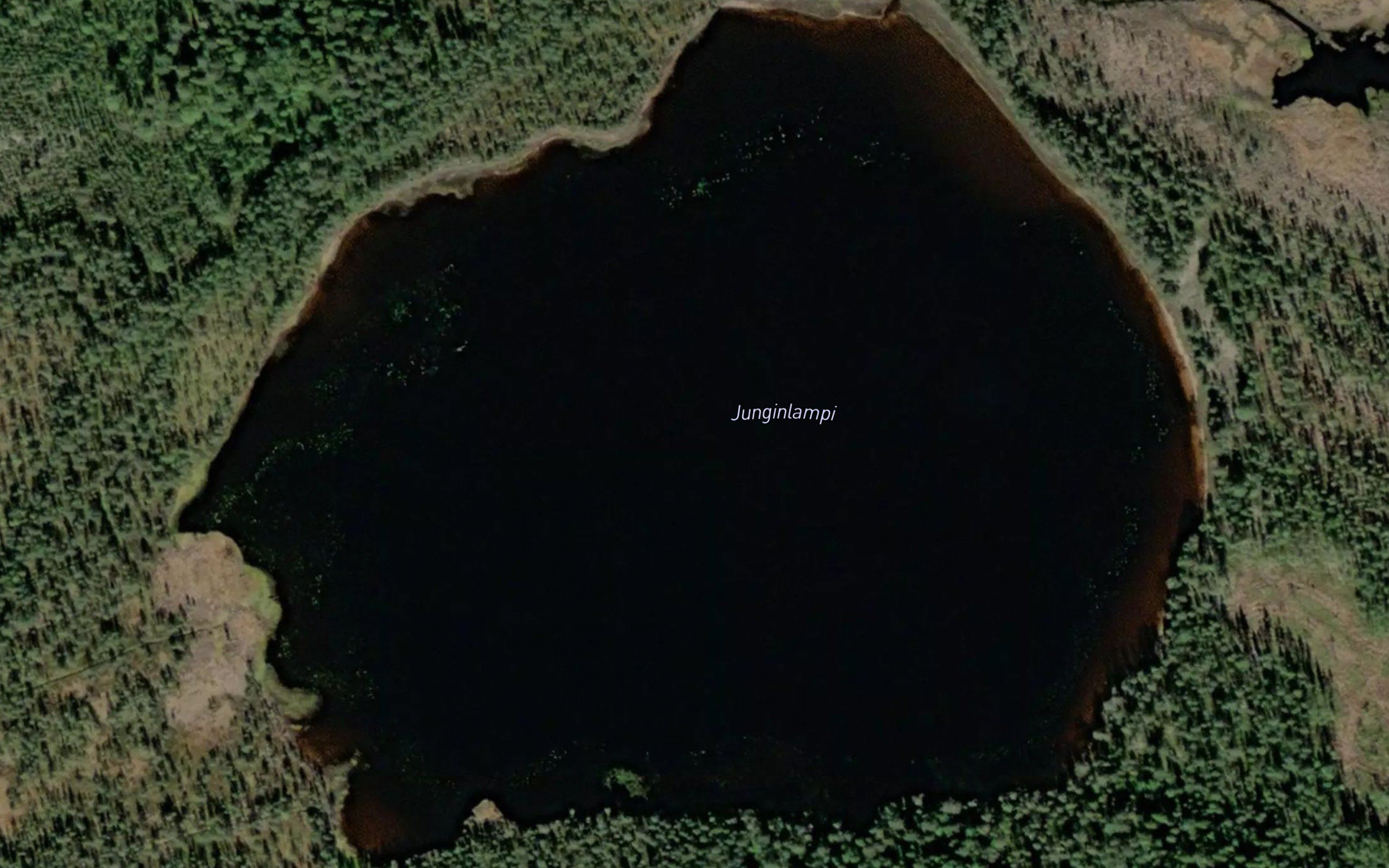 Junginlampi