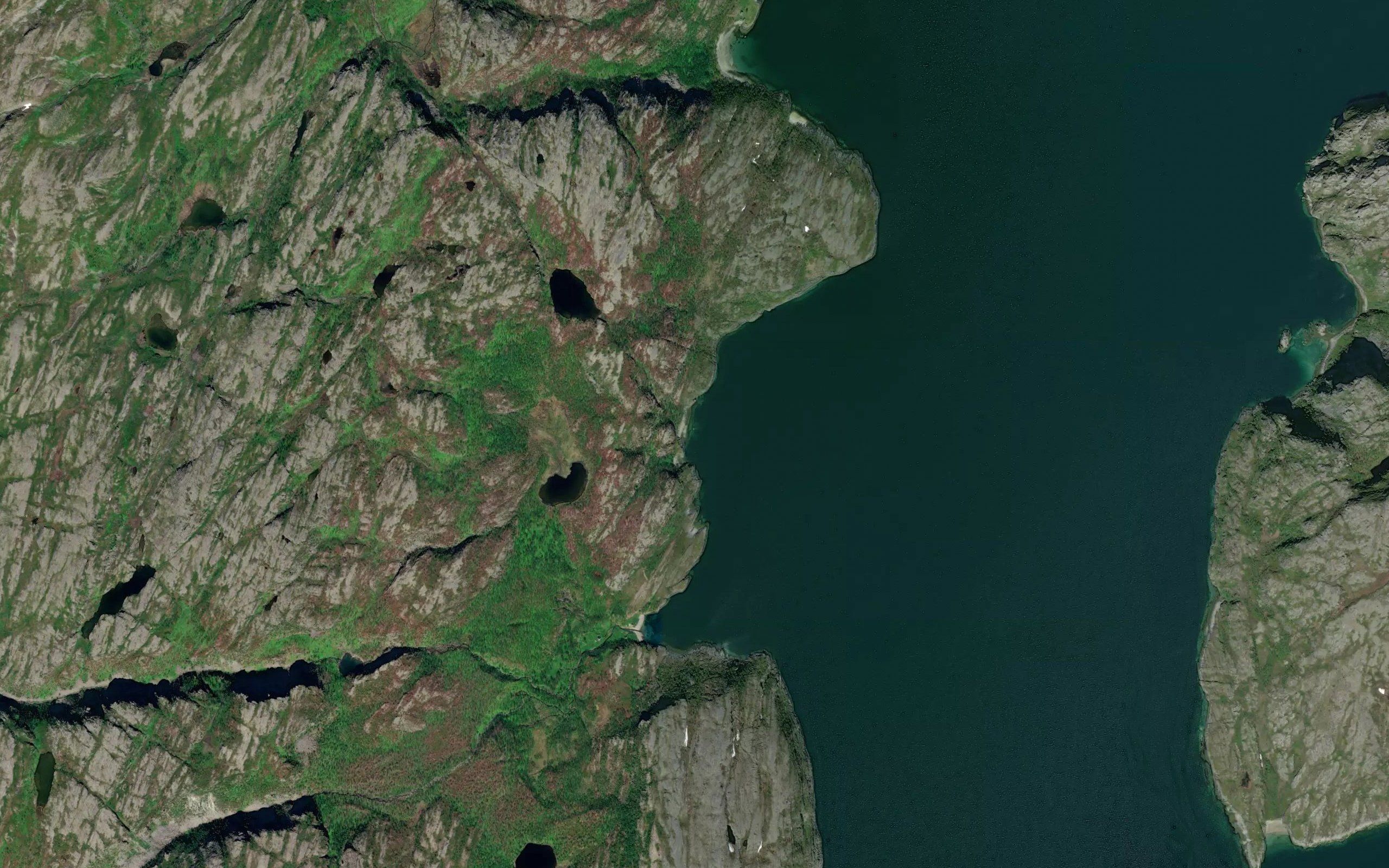 Skuovvaluokta