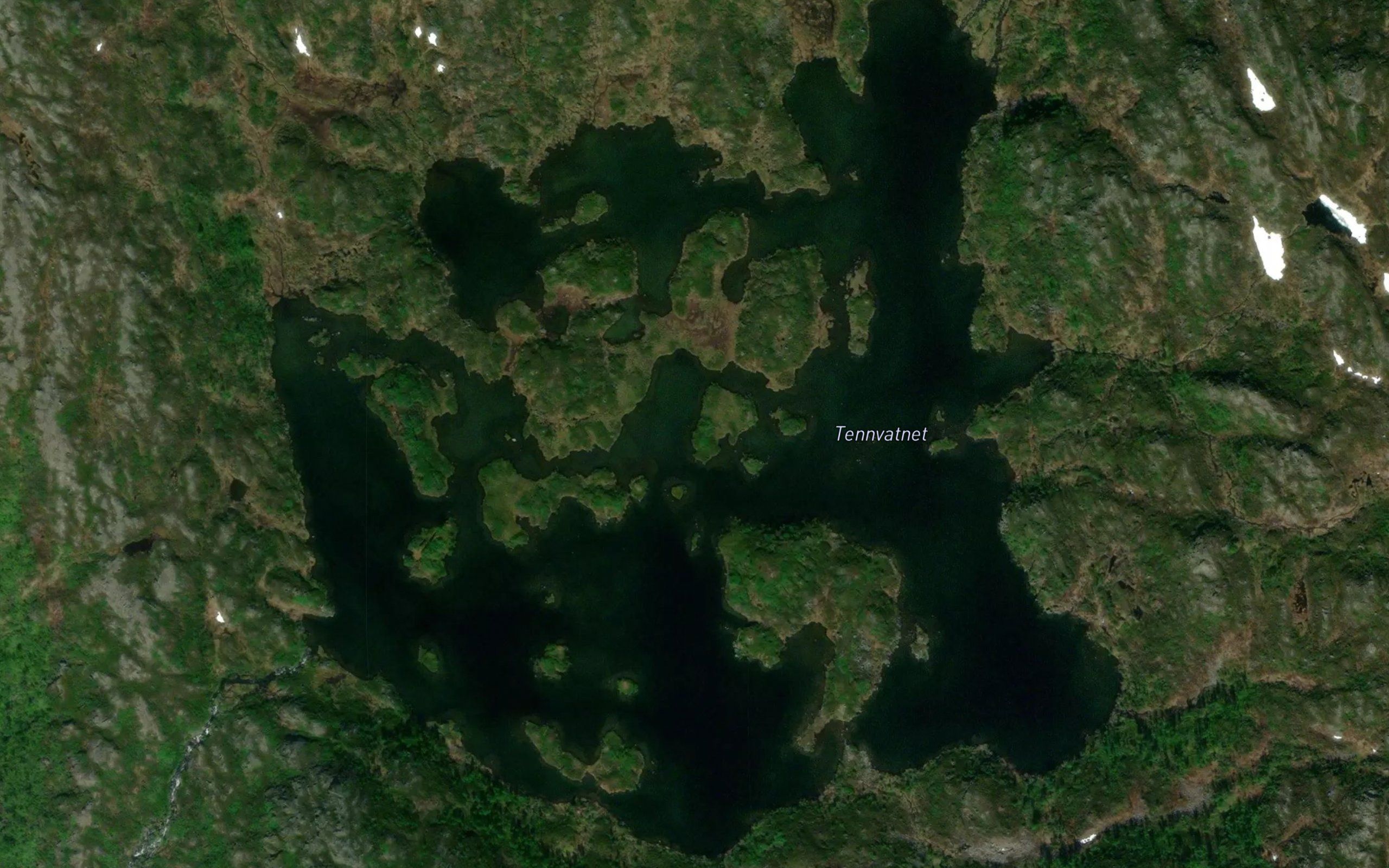Tennvannet