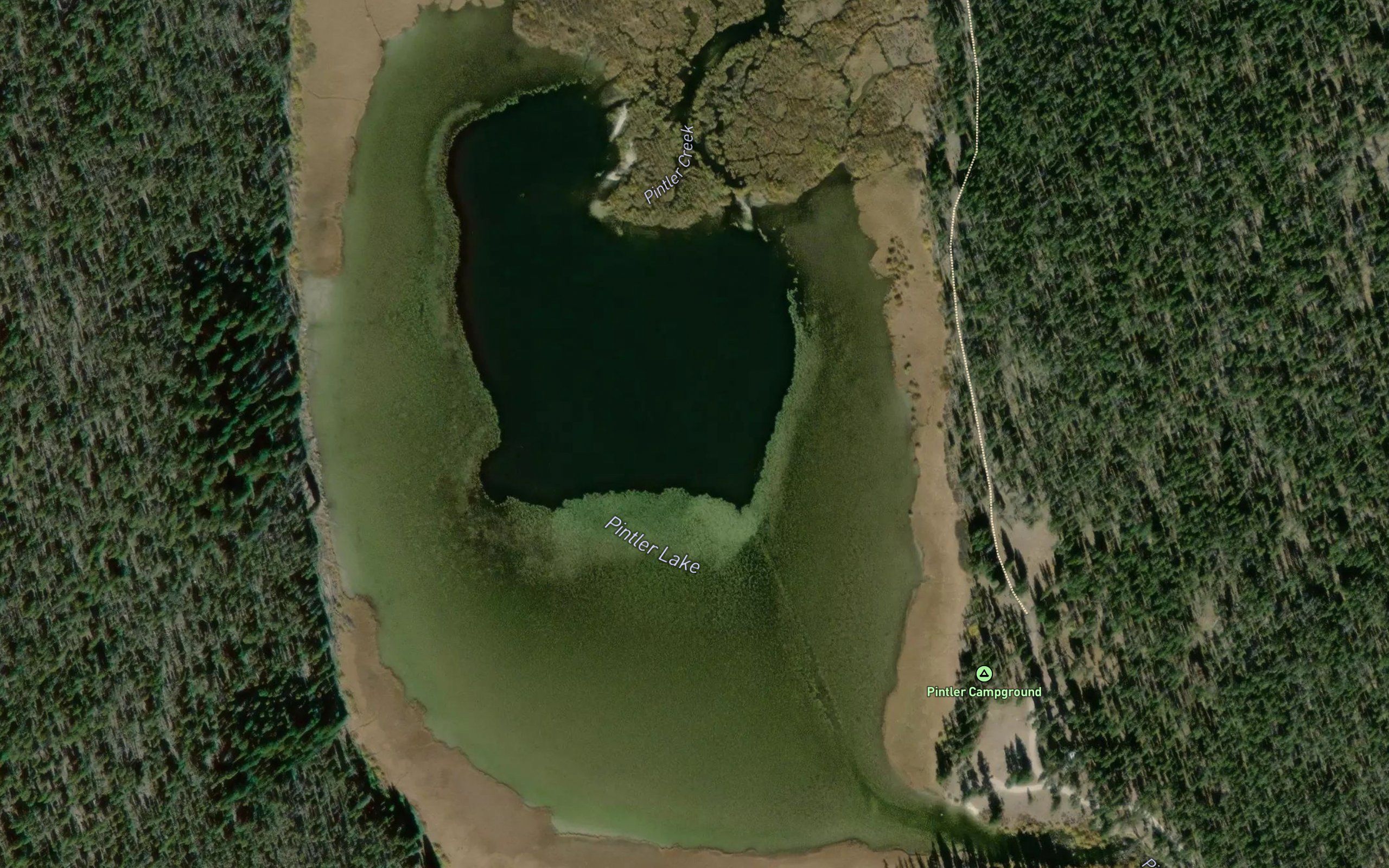 Pintler Lake