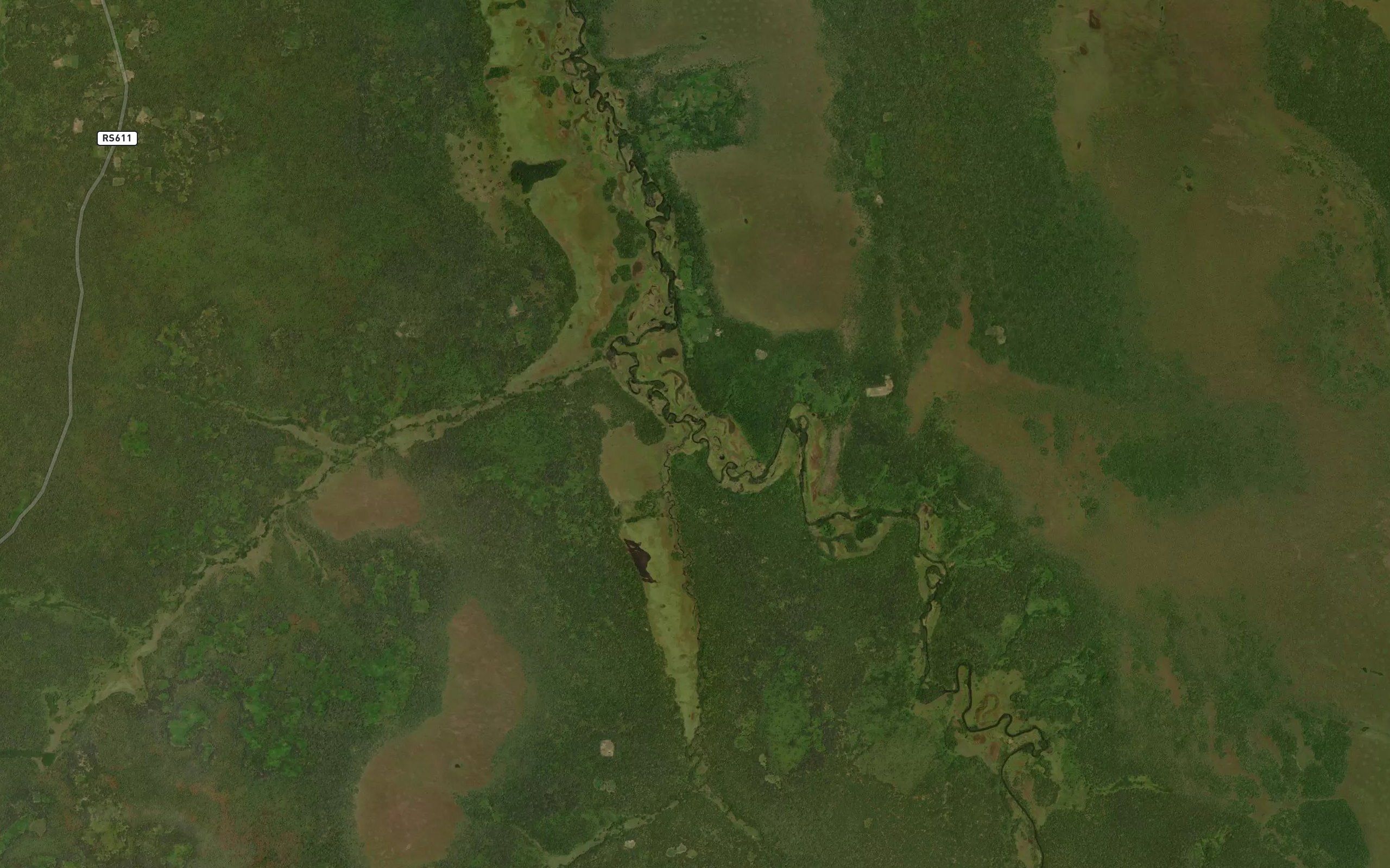 Kamwana