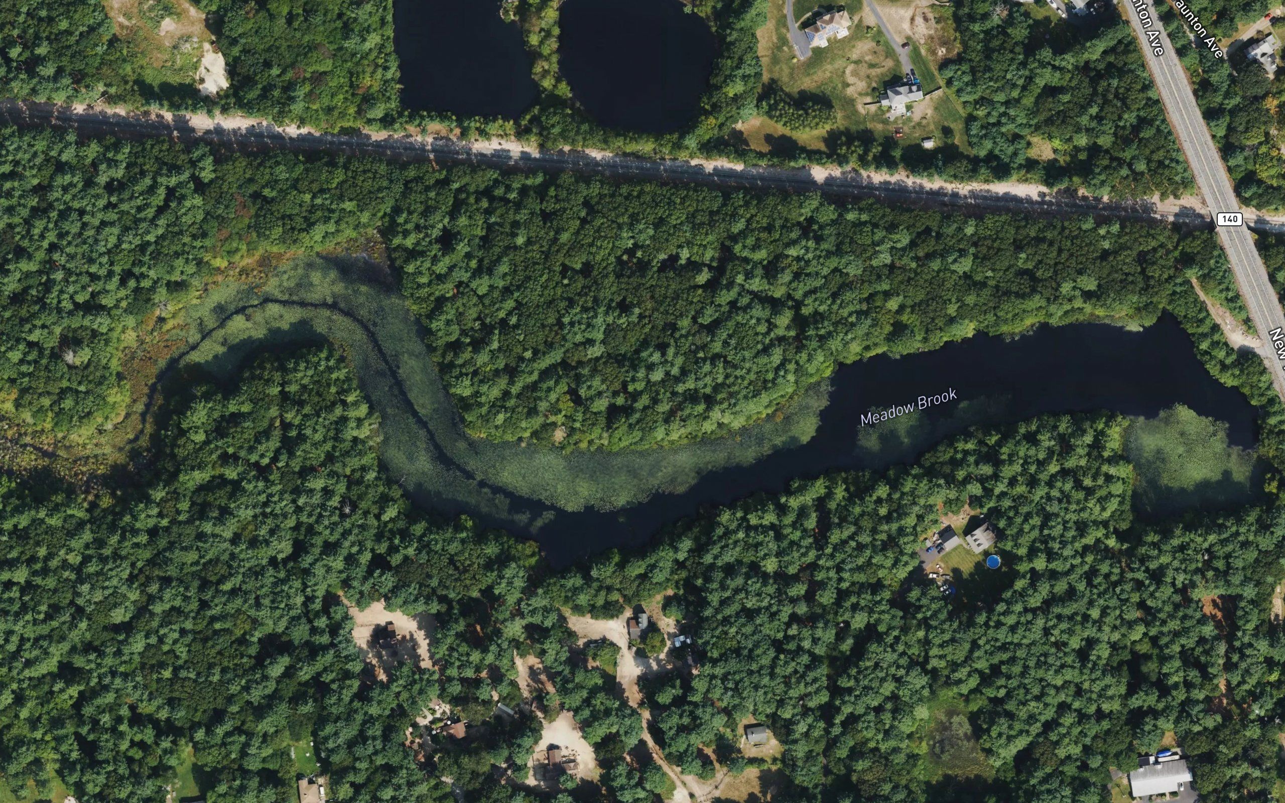 Meadow Brook Pond