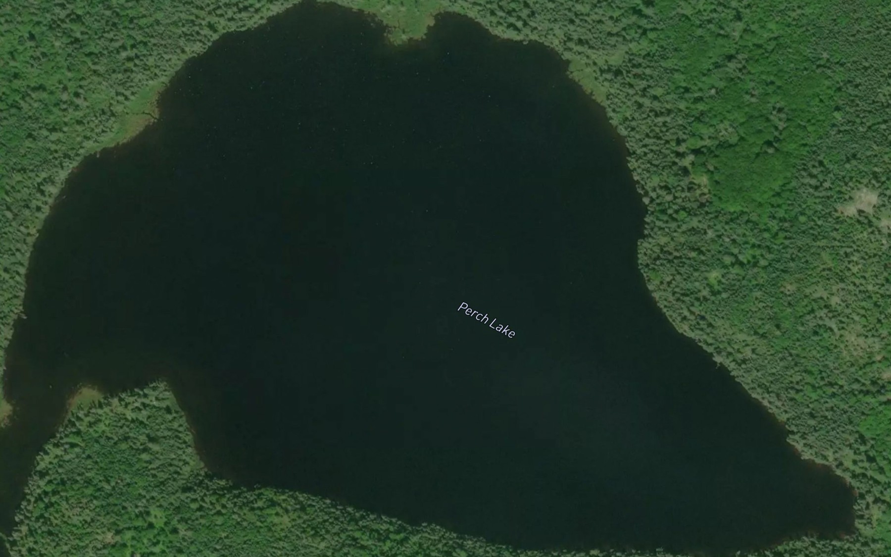 Satellite map of the Perch Lake