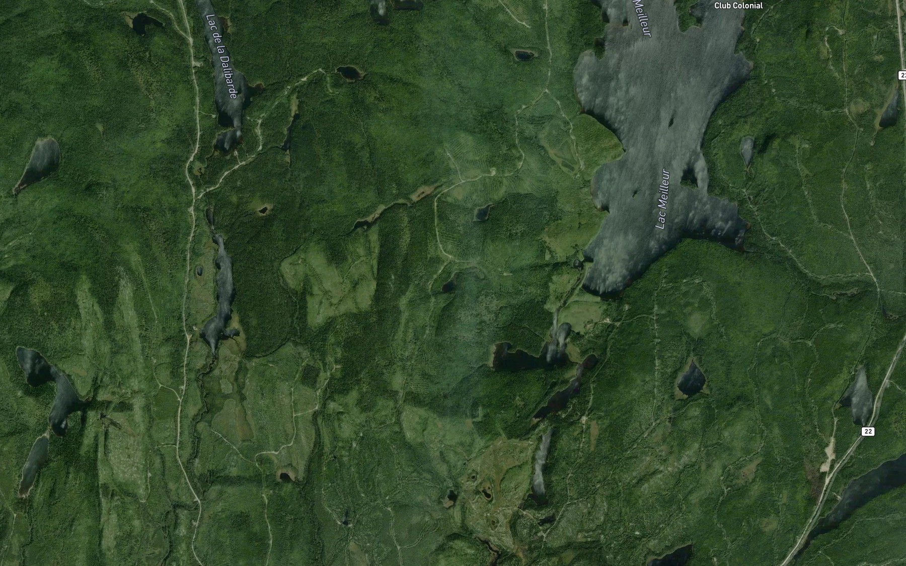 Satellite map of the Lac de l'Ours
