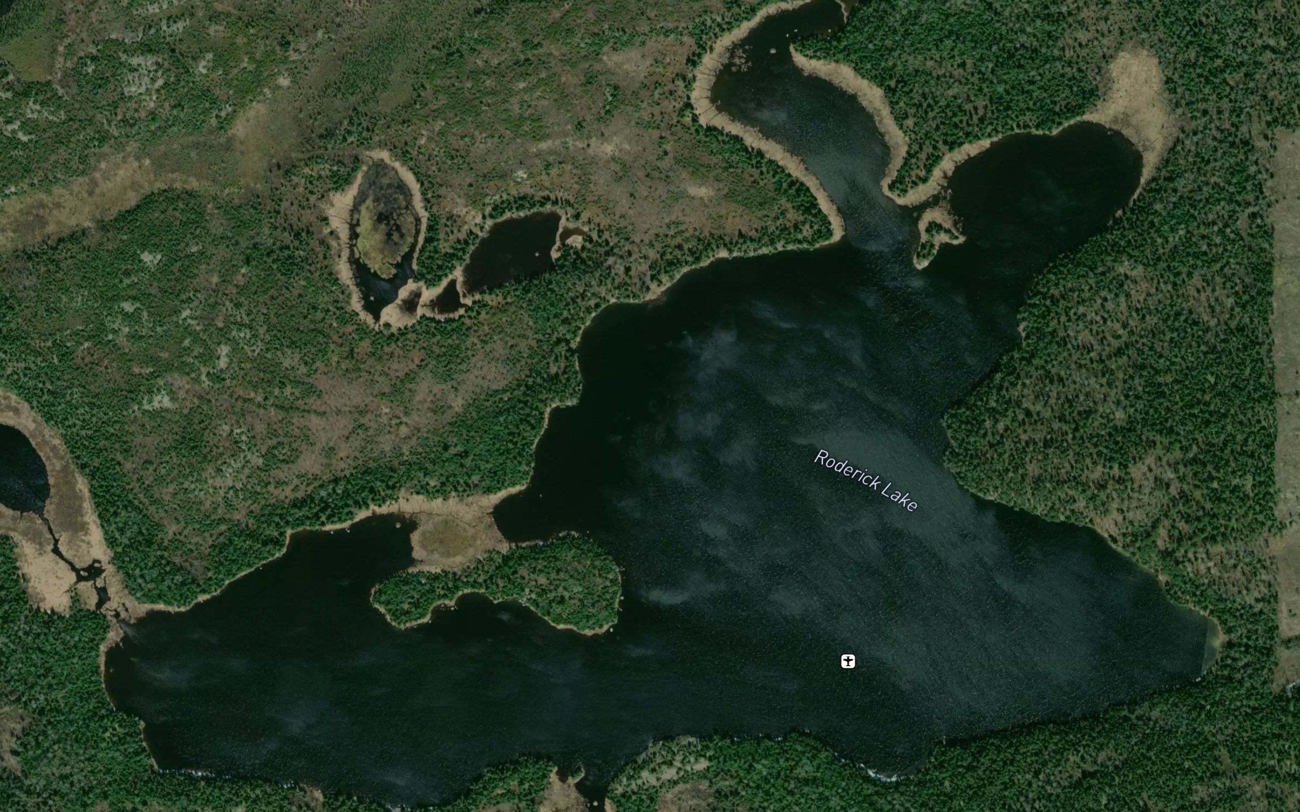 Roderick Lake