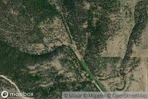 Blacktail Creek