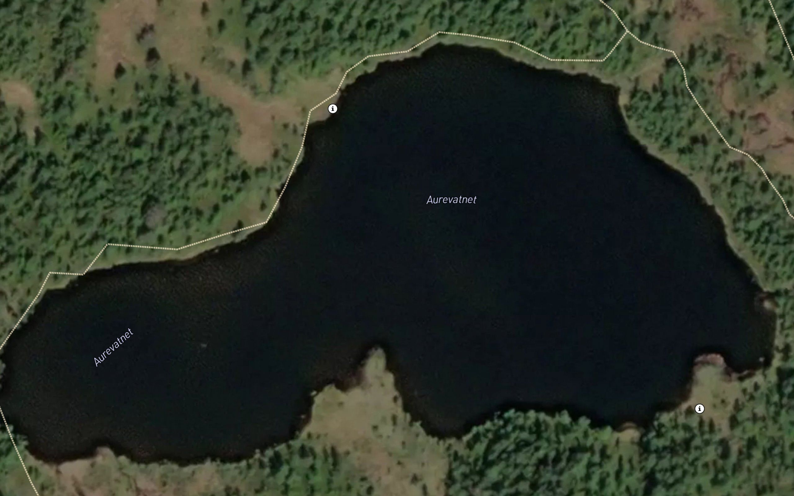 Aurtjorni