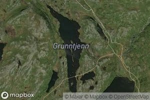 Grunntjern