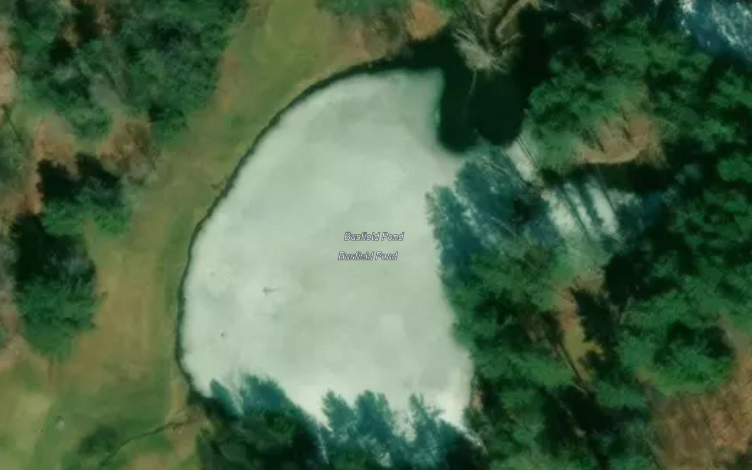 Busfield Pond