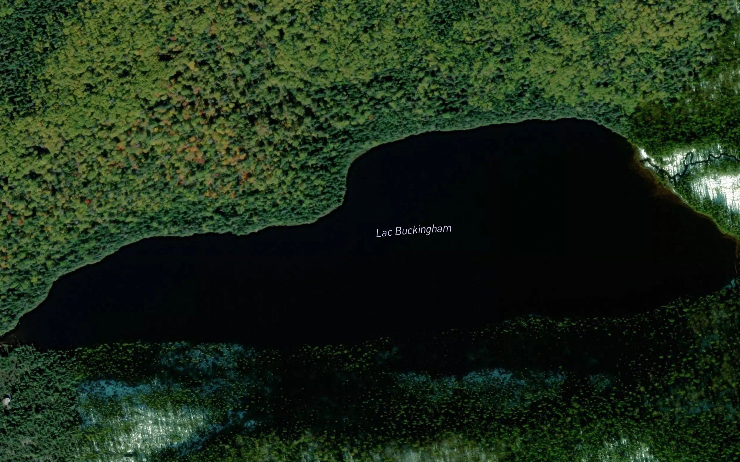 Lac Buckingham