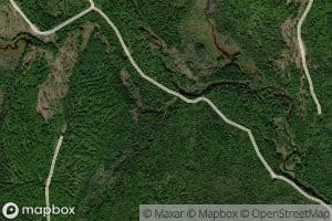 South Branch Vickery Brook