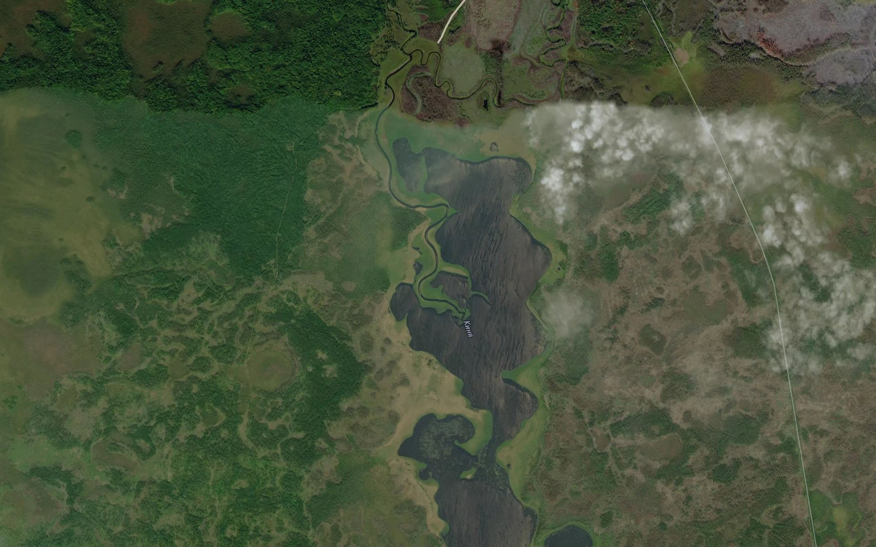 Satellite map of the Bol'shaya Kinya