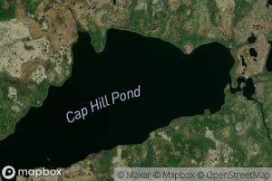 Cap Hill Pond