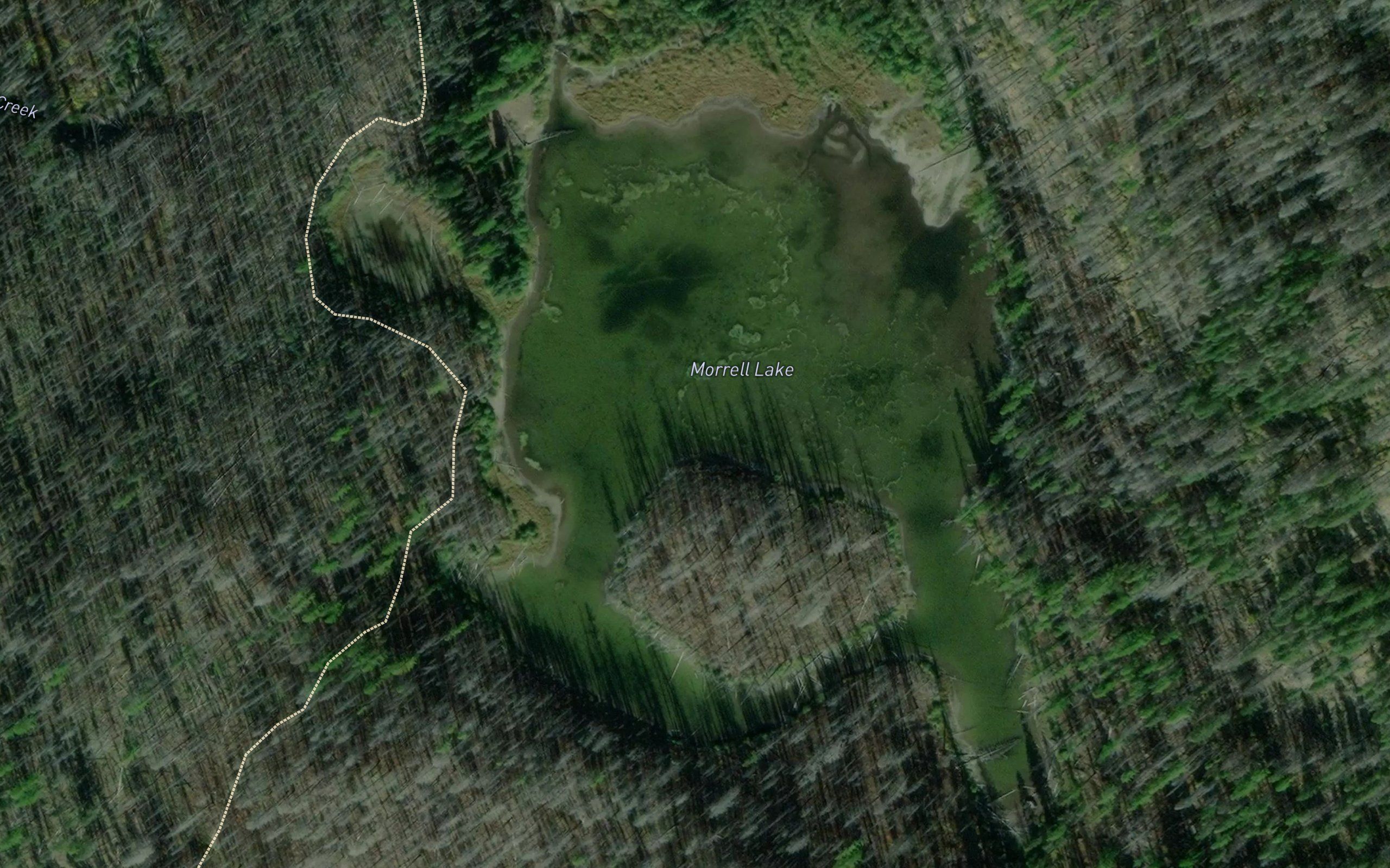 Morrell Lake