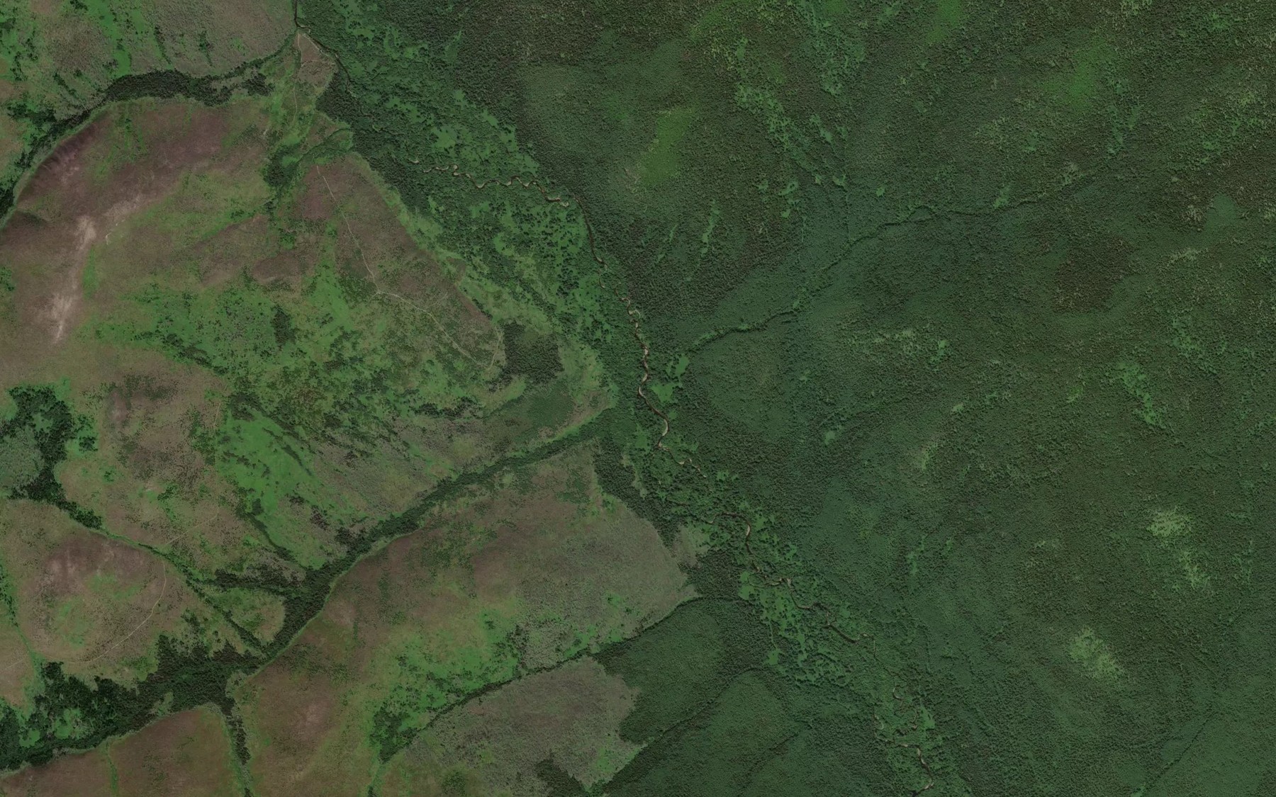 Satellite map of the Sobolinyy