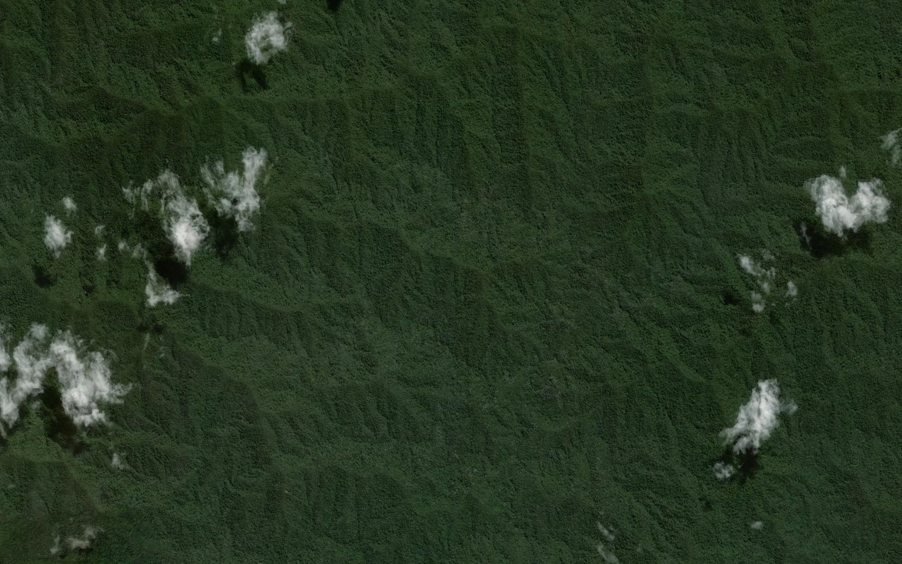 Satellite map of the Sungai Lelap