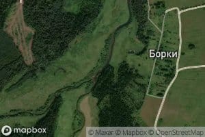 Nochnaya Chernyanitsa