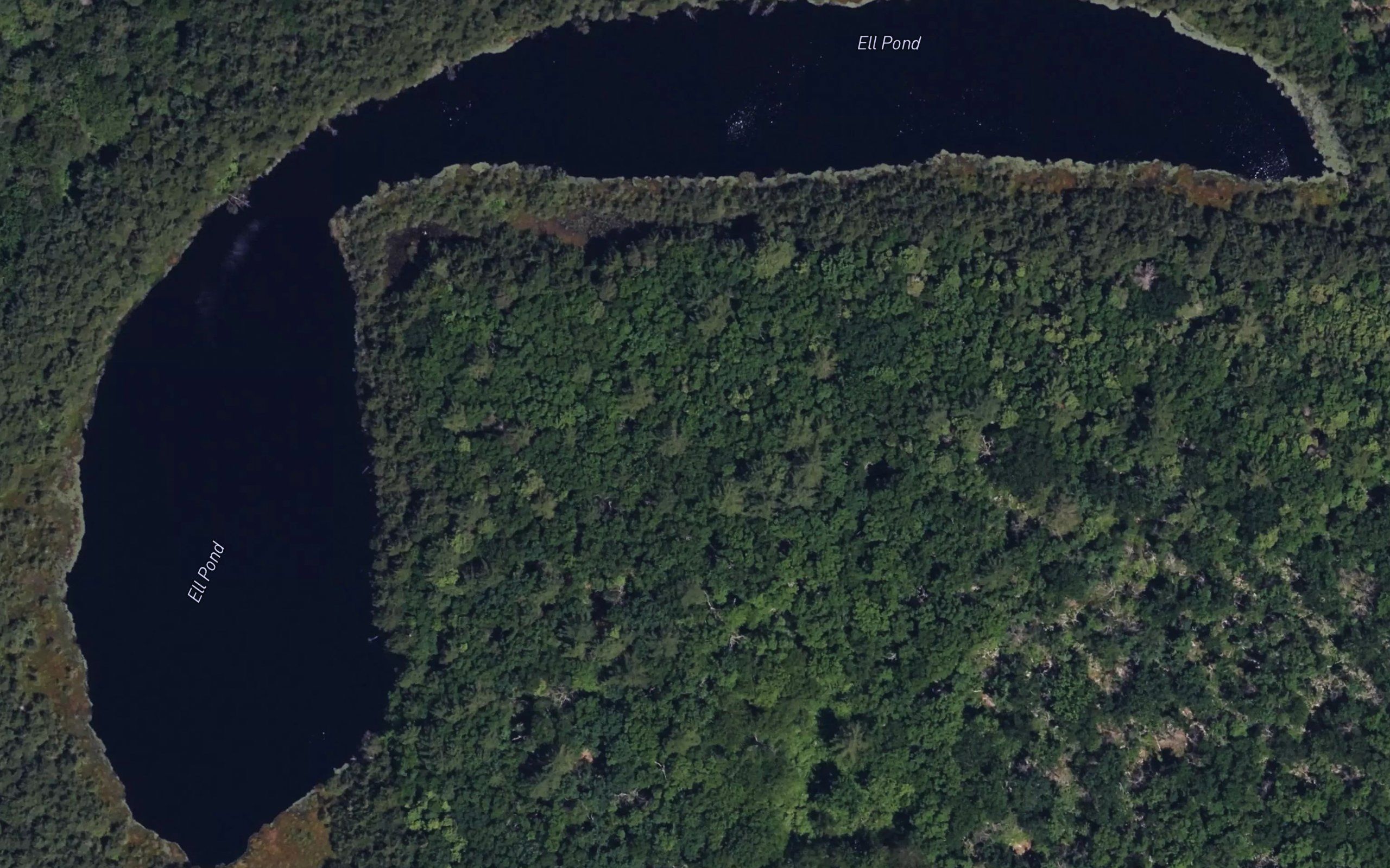 Ell Pond
