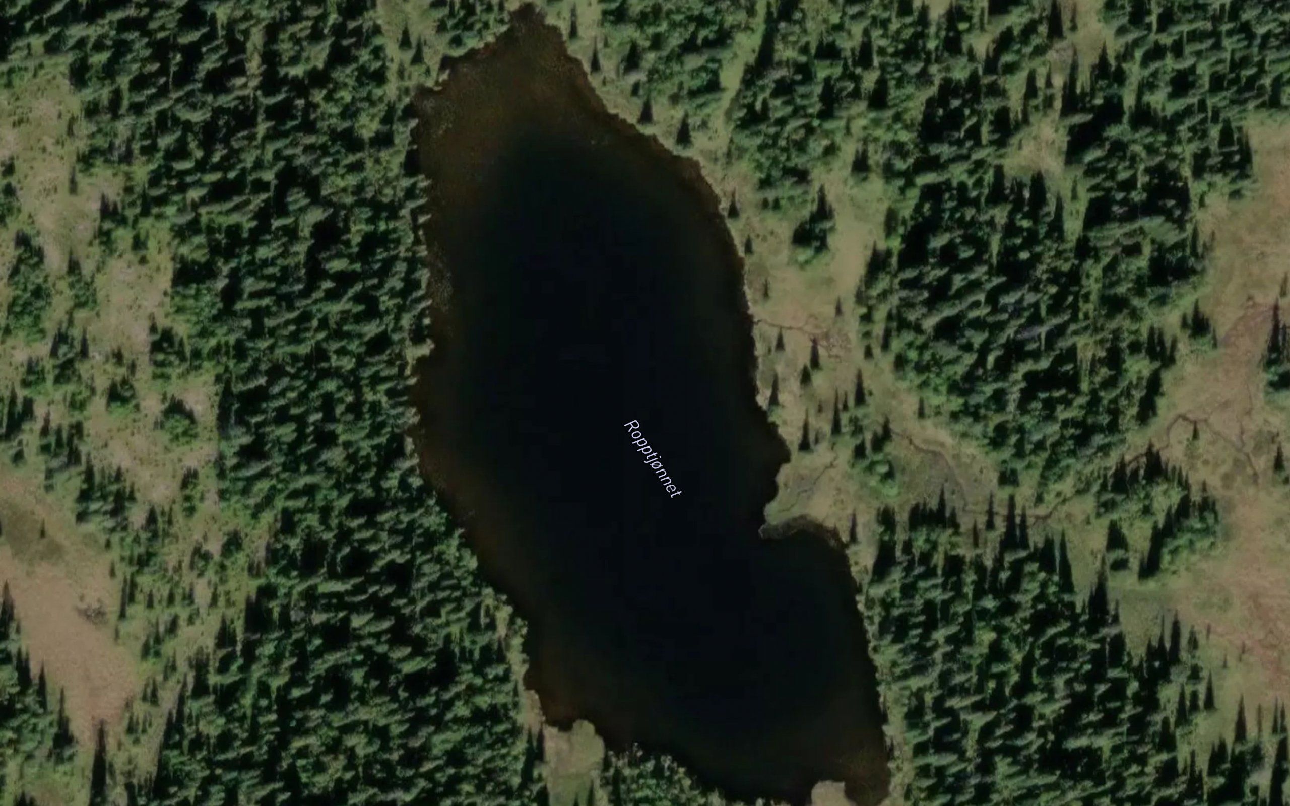 Ropptjernet