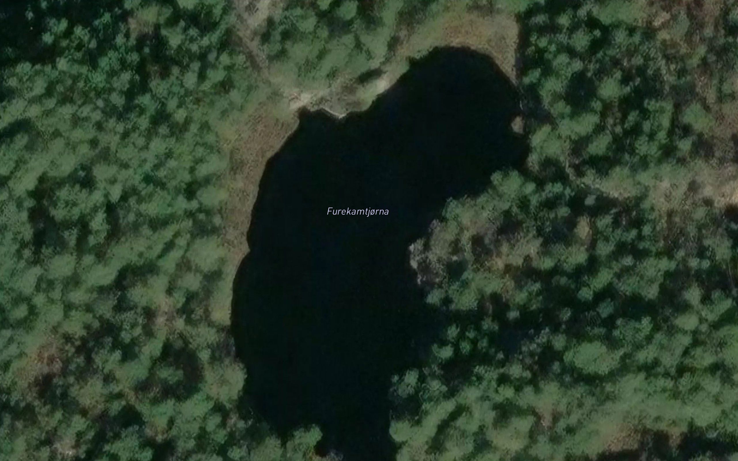 Furukamtjorna