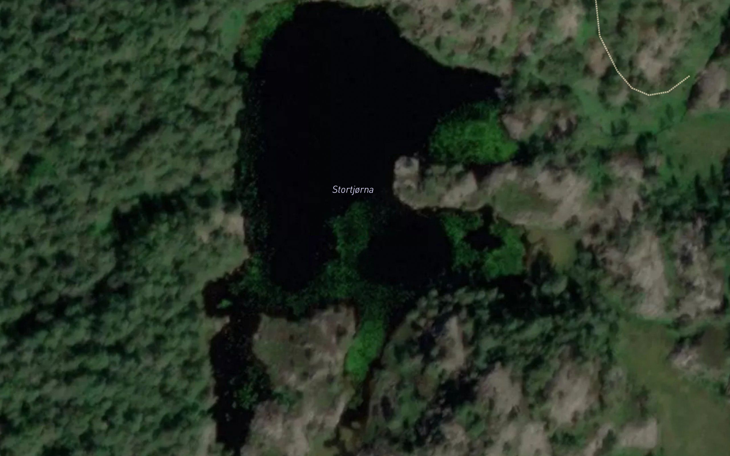 Stortjorna