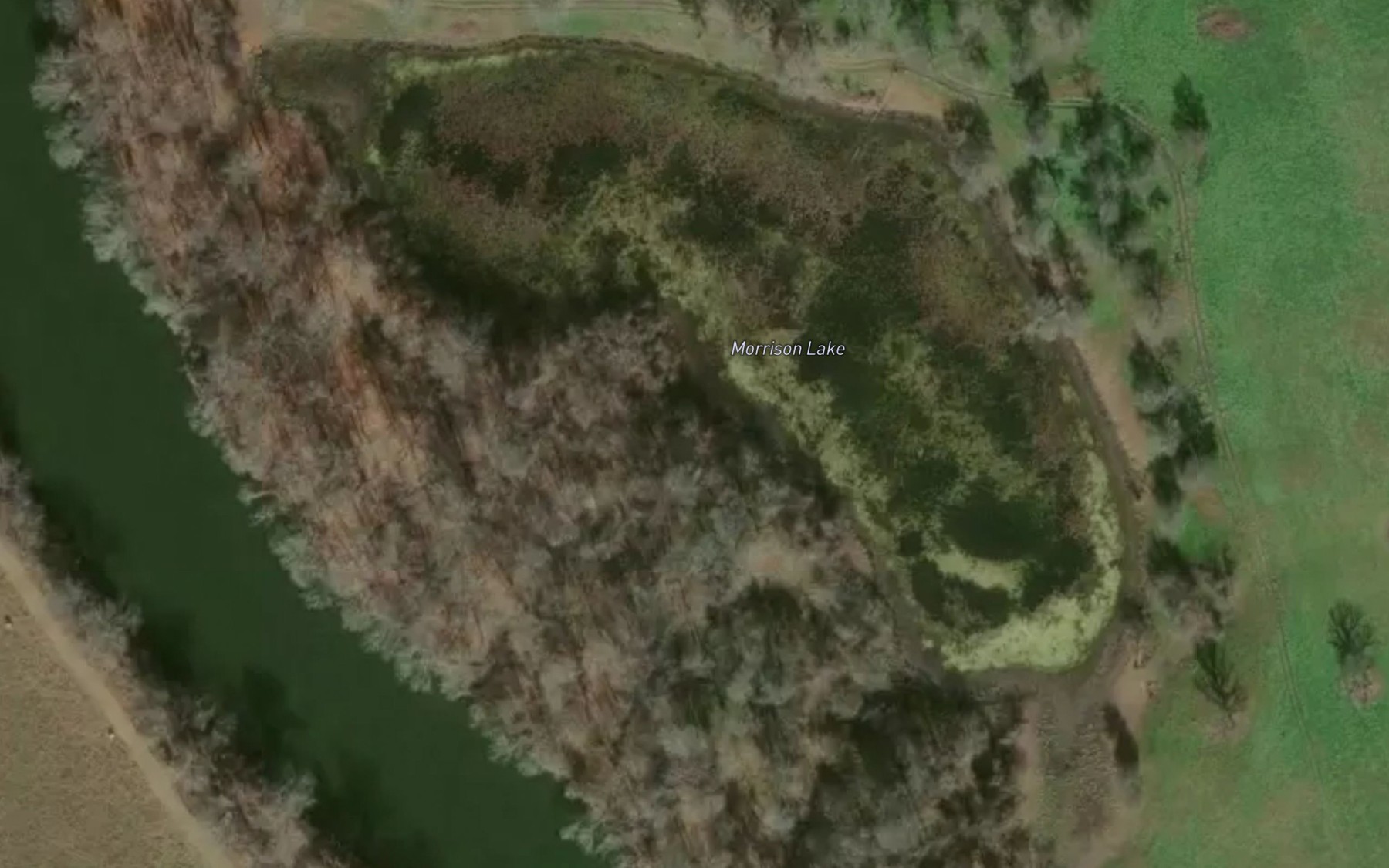 Satellite map of the Morrison Lake