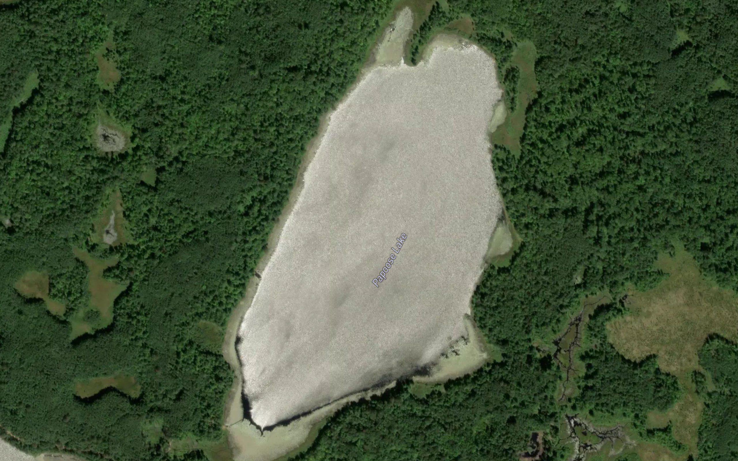 Papoose Lake