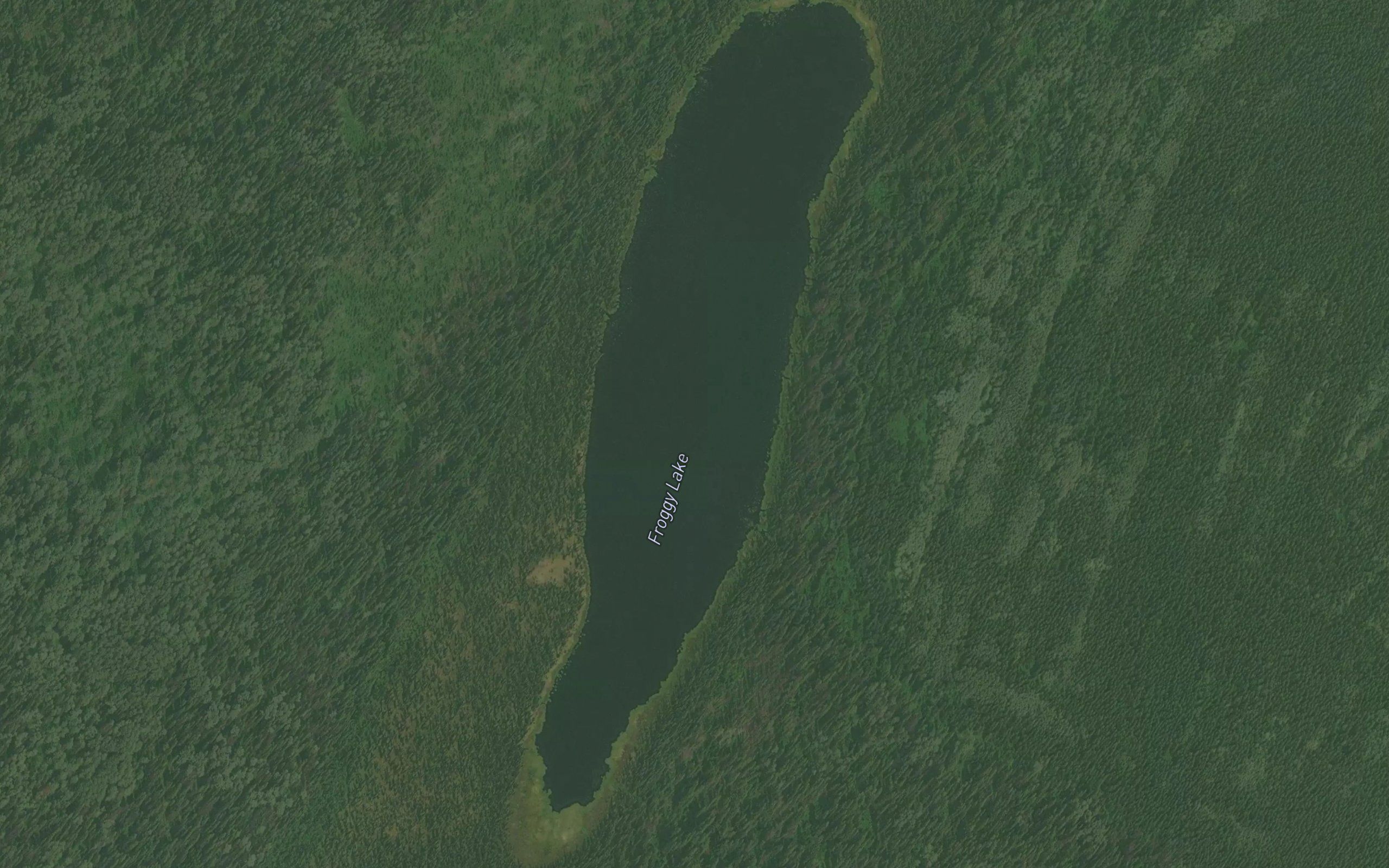 Froggy Lake
