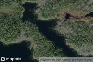 Tiaisvuopaja