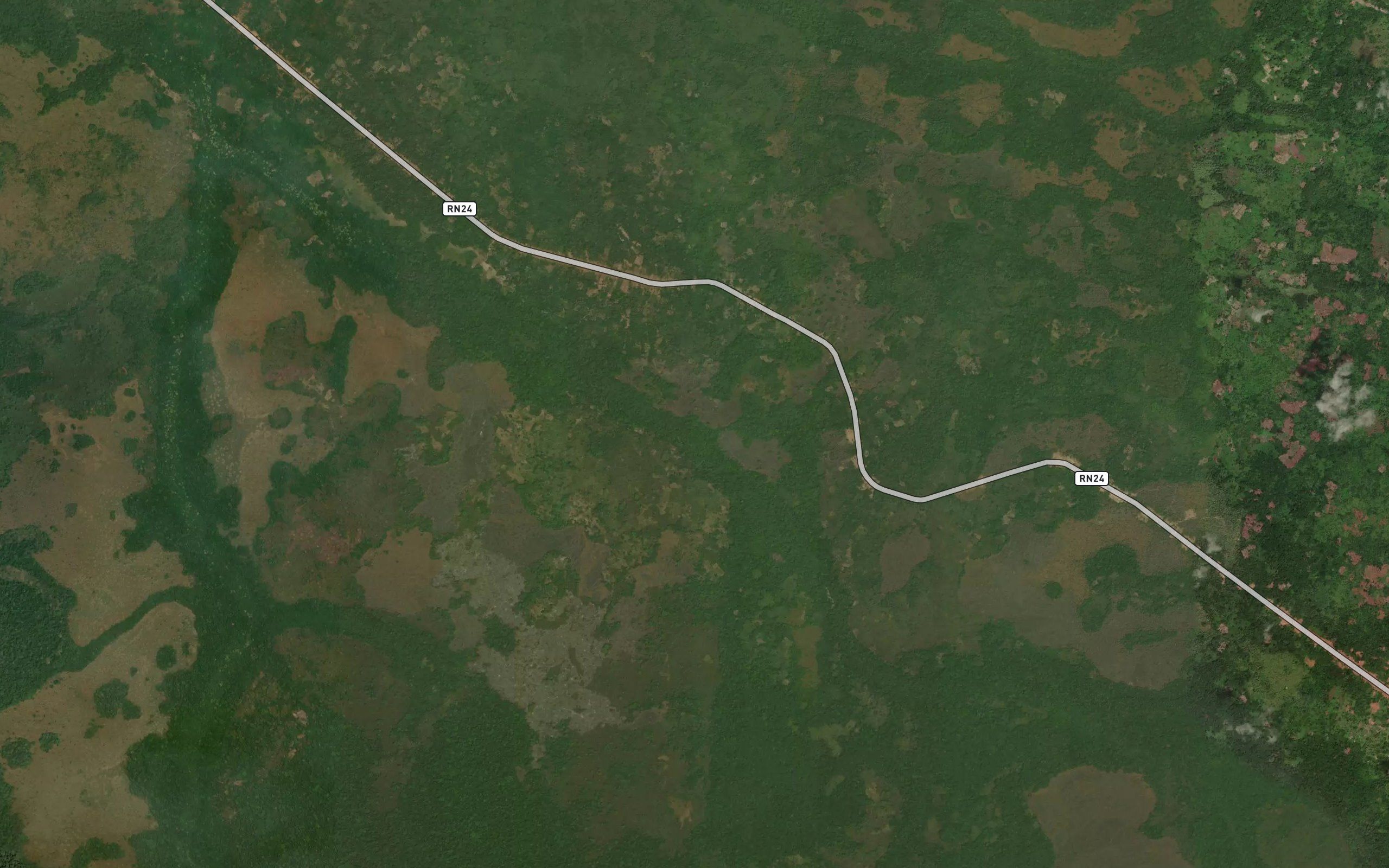 Ngandungu