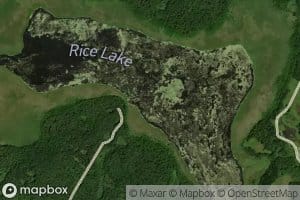 Rice Lake