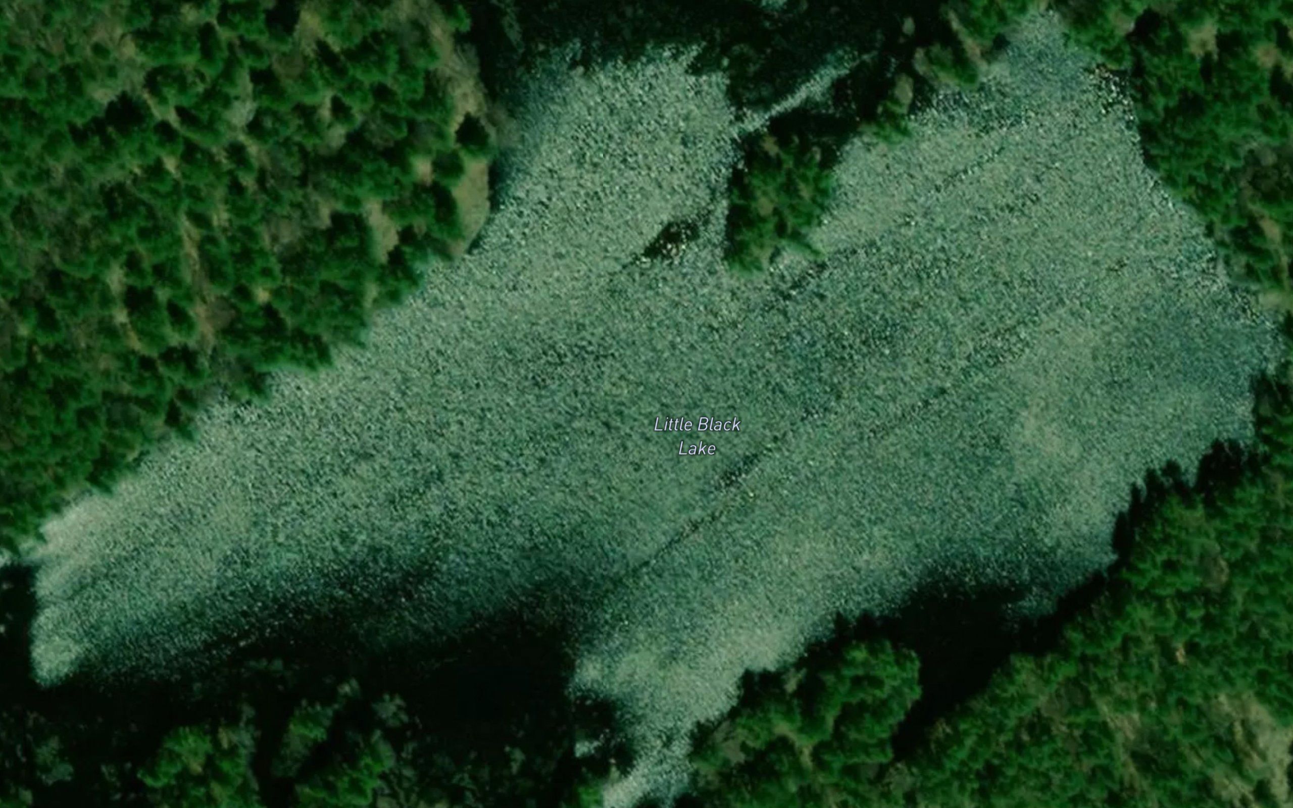Little Black Lake