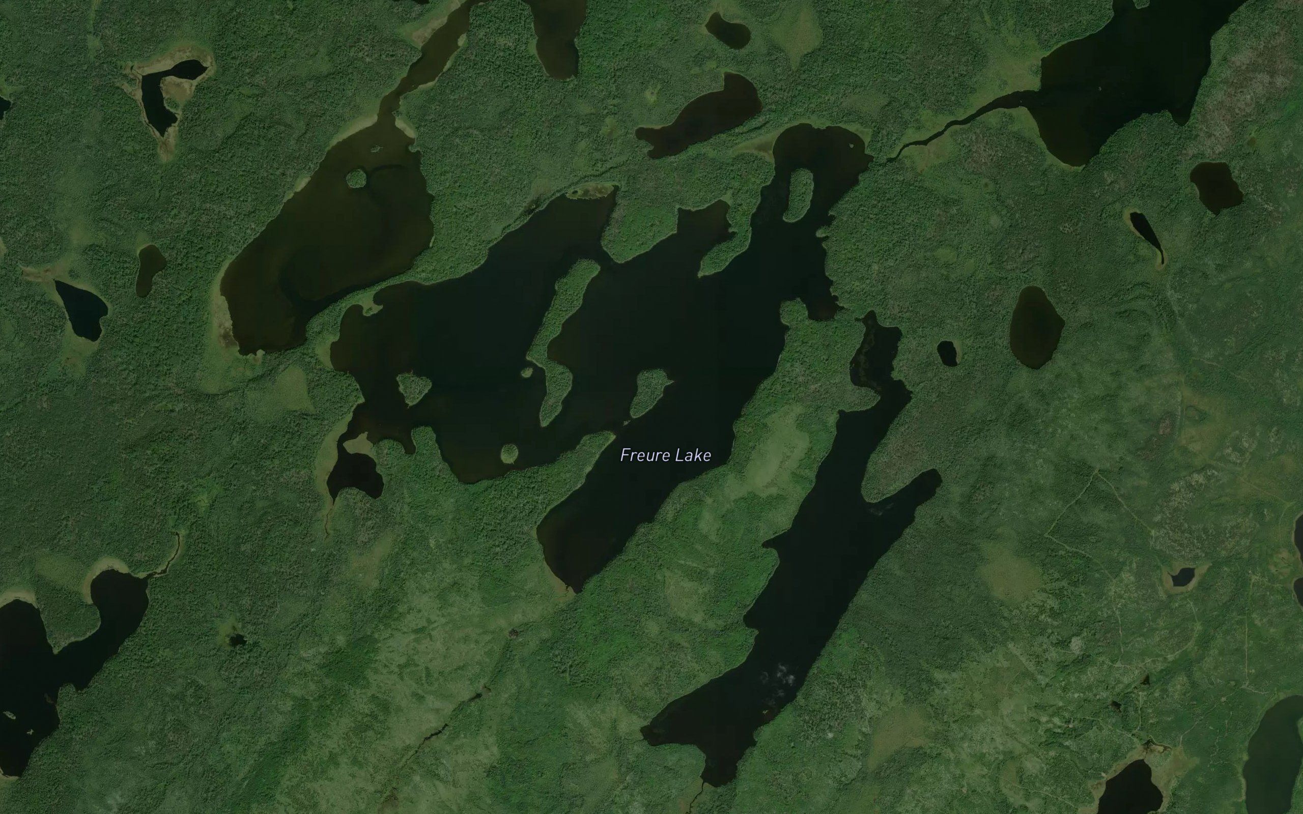 Freure Lake