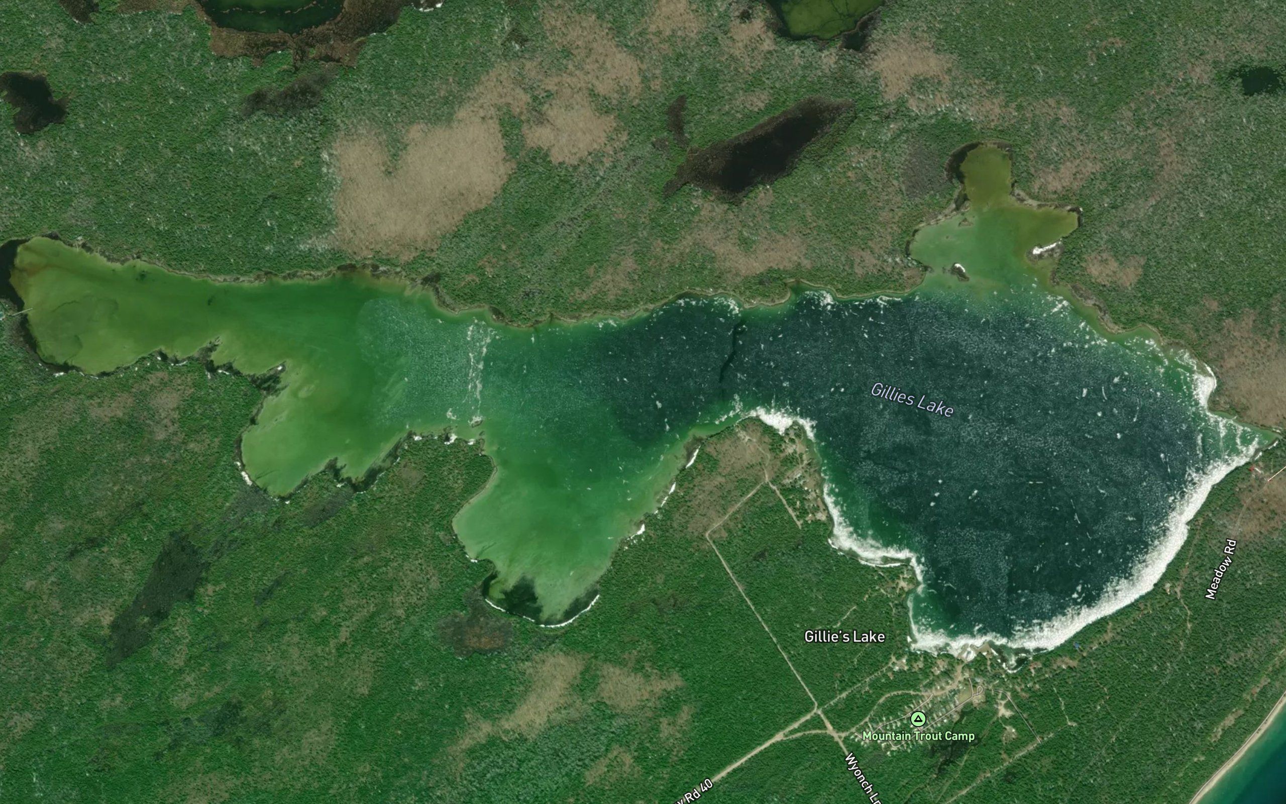 Gillies Lake