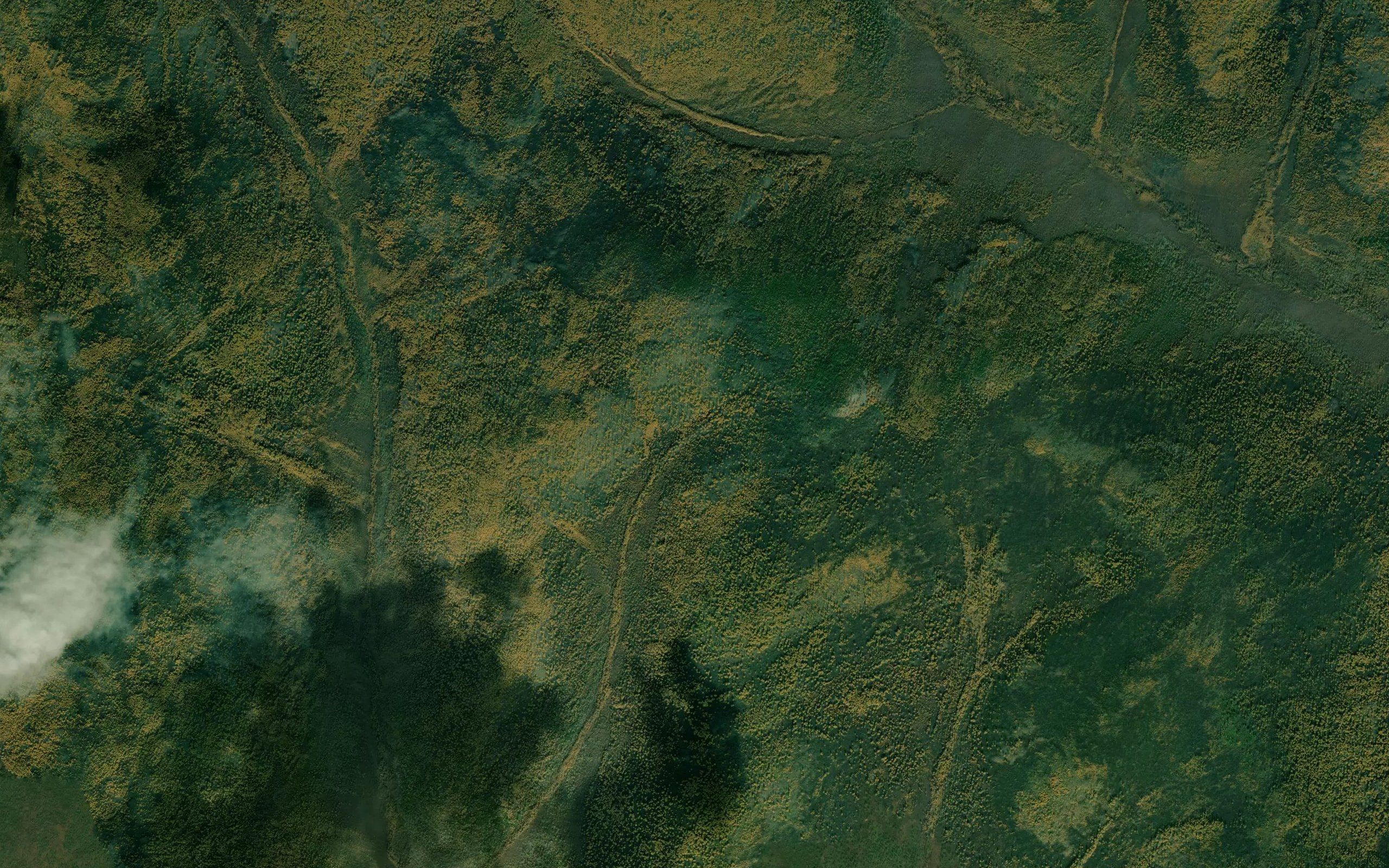 Kopri