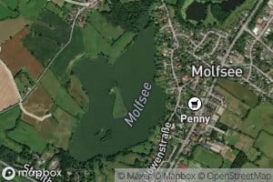 Molf-See